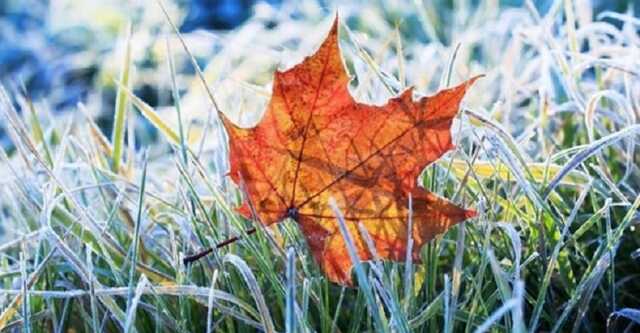 В Украине ударит мороз: синоптики предупредили о похолодании