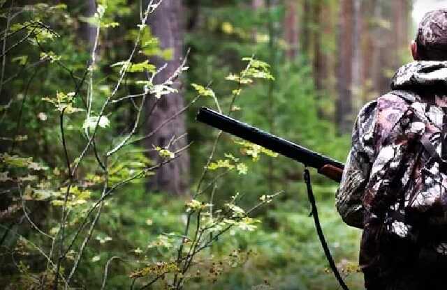 На території Київщини заборонили полювання