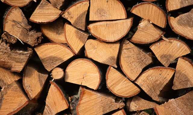 В Украине запустили государственный интернет-магазин по продаже дров