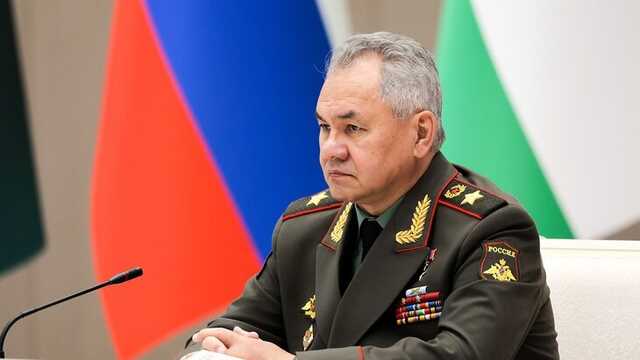 Дочь Шойгу могут лишить европейского гражданства