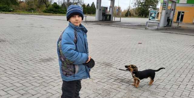 З Бахмута евакуювали 8-річного сироту, батьки якого загинули під час обстрілу