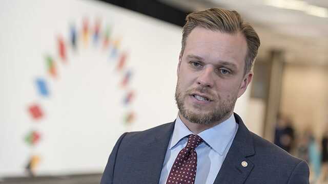 Литва призвала организовать военное сопровождение судам с украинским зерном