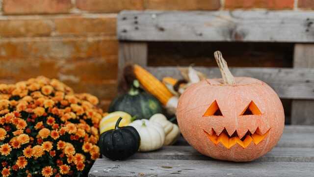 У Києві на честь Хеловіну опудало Путіна посадили в клітку