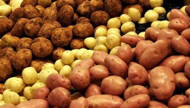 В Україні перерахували ціни на картоплю