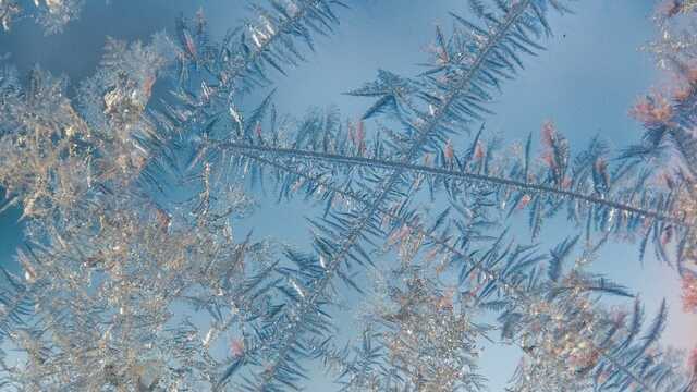 В Україну в листопаді насуваються снігопади та морози - синоптик