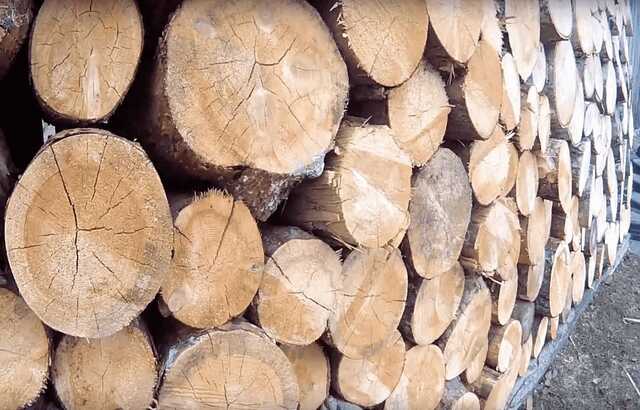 Жителям Николаевской области начали выдавать бесплатные дрова - Минреинтеграции