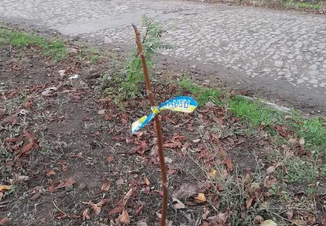 В Мариуполе партизаны напомнили оккупантам и коллаборантам, что ВСУ уже близко