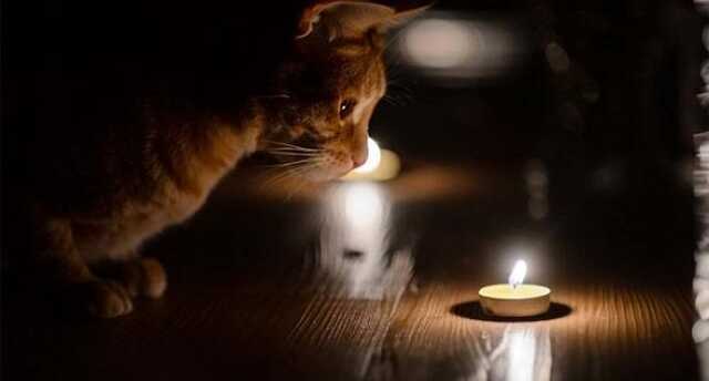 Київ та ще сім областей. Стало відомо, де завтра вимикатимуть світло