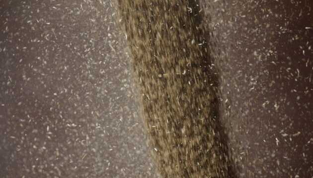 Окупанти вивозять український урожай з Маріупольського району