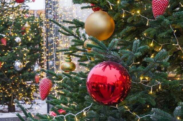 Ідею поставити новорічну ялинку у Дніпрі не підтримує 53% передплатників мера Філатова