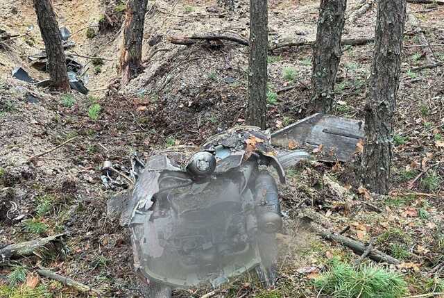 На Київщині в лісі знайшли уламки ще однієї збитої ракети