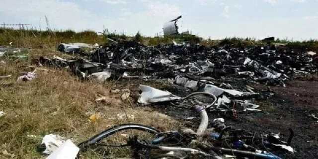  MH17:  ,    