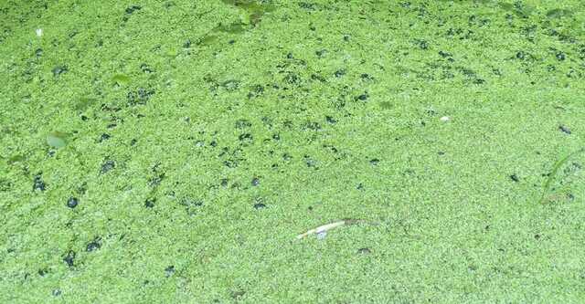 В Украине двум коммунальщикам впервые вручили подозрения в совершении экоцида