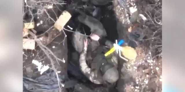 Почуття приреченості. Виснажені окупанти вже навіть не намагаються рятуватися від гранат та фугасів