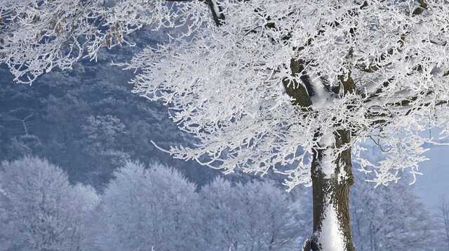 Народний синоптик сказав, коли в Україну прийде стійка зимова погода