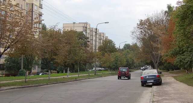 В Киеве улицу переименовали в честь талантливой учительницы Здановской, убитой российской ракетой