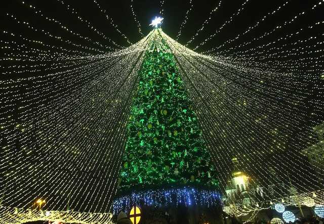 Главная елка страны будет "максимально энергоответственной, но все равно праздничной" - Yasno