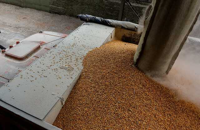 Краденное в Украине зерно возили суда крупнейшего зернотрейдера России: WSJ раскрыло схему