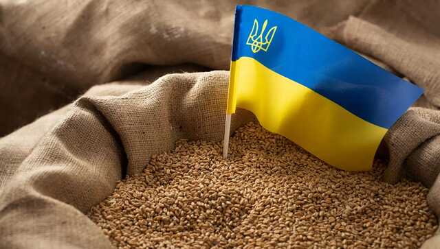 Урожай в Україні впав на 30-40%, експорту зерна заважають відключення світла – Cargill