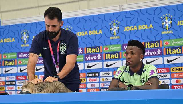 Представитель Бразилии на ЧМ-2022 выбросил кошку во время пресс-конференции