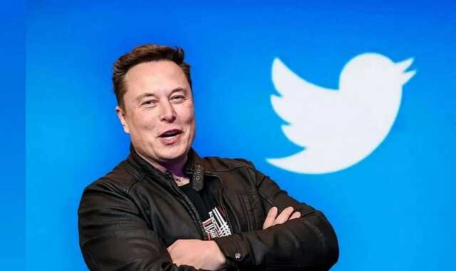 Подписчики Маска решили, что ему следует уйти с должности руководителя Twitter