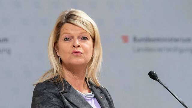 Австрія готується до можливого блекауту, - міністр оборони