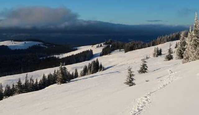 На Закарпатті в горах знайшли мертвими двох ухилянтів, які тікали до Румунії