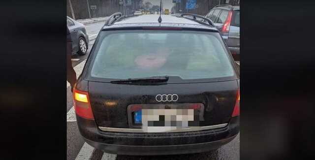 Автомобіль збив 19-річну дівчину на переході біля автостанції у Львові