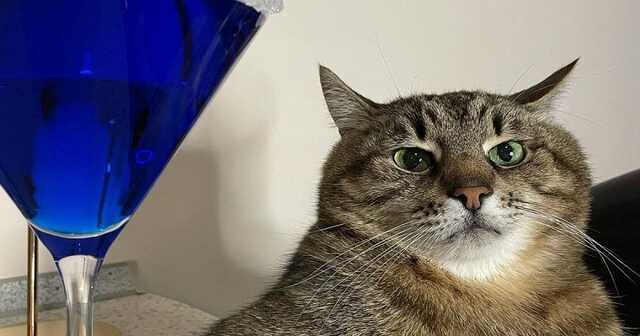 -       Times Monaco