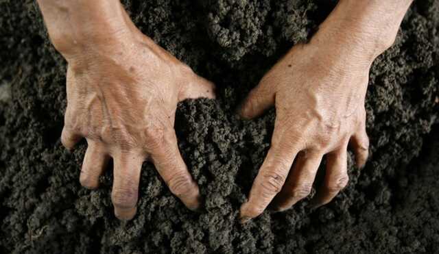 Керівник львівського Держгеокадастру незаконно передав ділянку вартістю 12 млн гривень