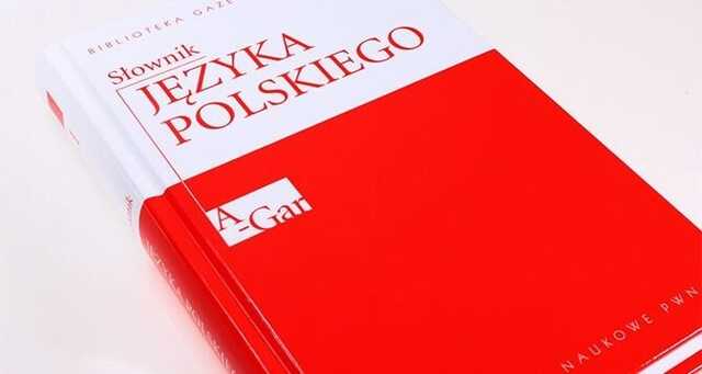 Польский язык в Украине могут включить в список предметов ВНО — Верещук