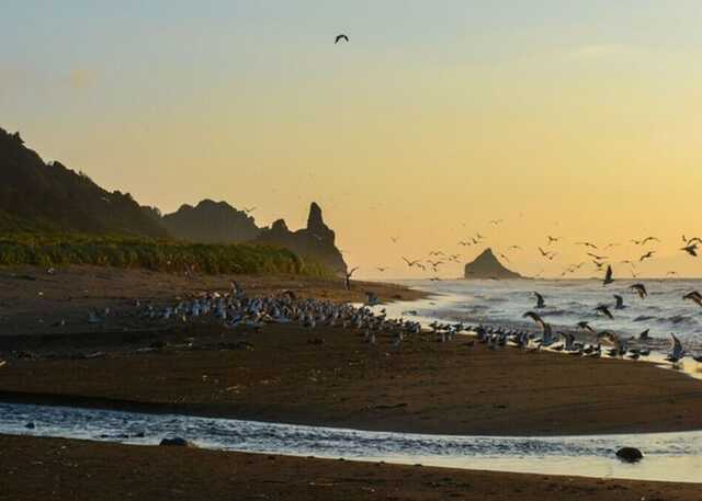 У районі Курильських островів стався землетрус магнітудою 5,8
