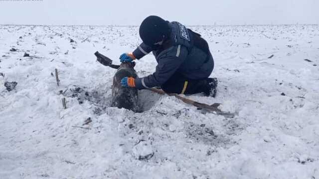 Сегодня в Киевской области работают саперы, жителей предупреждают о взрывах