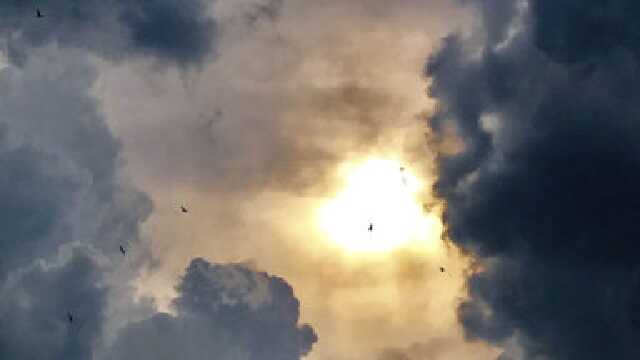 Внаслідок обстрілу Харкова постраждали вісім людей