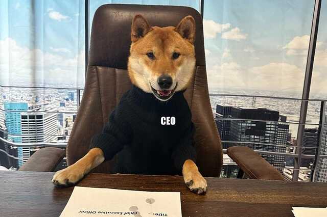 Маск «призначив» собаку гендиректором Twitter