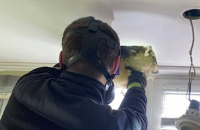 В Днепре спасатели сняли с балкона квартиры 140 летучих мышей