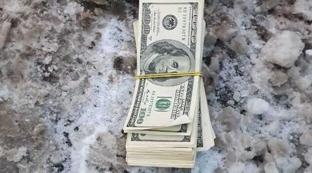 На Одещині ветеринар вимагав 10 тисяч гривень у підприємця