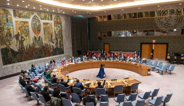 Постпред Естонії: Реформа Ради безпеки ООН дала б їй нове життя