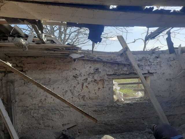 Окупанти обстріляли Нікопольський район та вбили поголів’я тварин