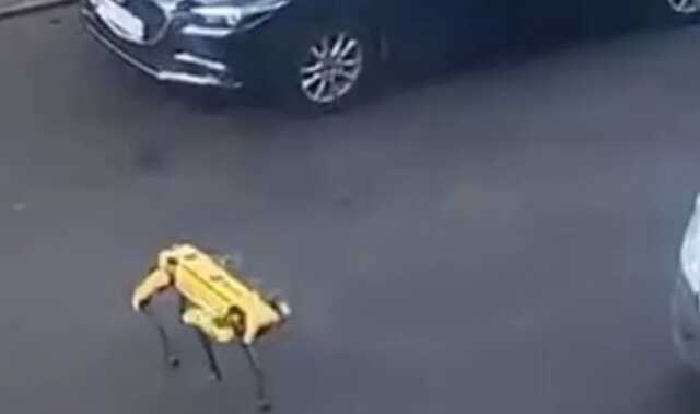 "  ":    -  Boston Dynamics  