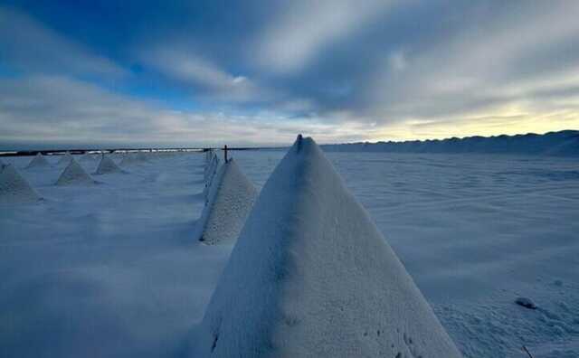 У Білгородській області відгородилися від України "зубами дракона" на $138 мільйонів