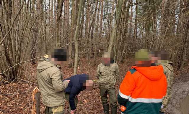 На Львівщині ексчлен громадьскої ради управління лісового господарства створив ОПГ