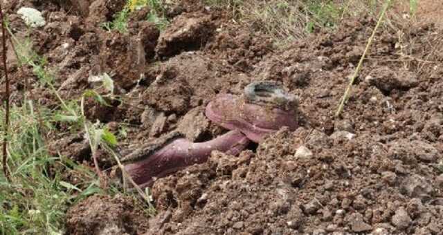 Під Харковом ексгумували тіло жінки, яка загинула від обстрілу армії РФ