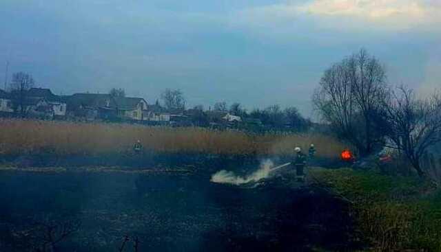 ДСНС б’є на сполох через паліїв сухостоїв на Київщині