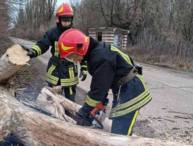 Вітер валив дерева та обривав лінії електропередачі: Україну накрила потужна негода