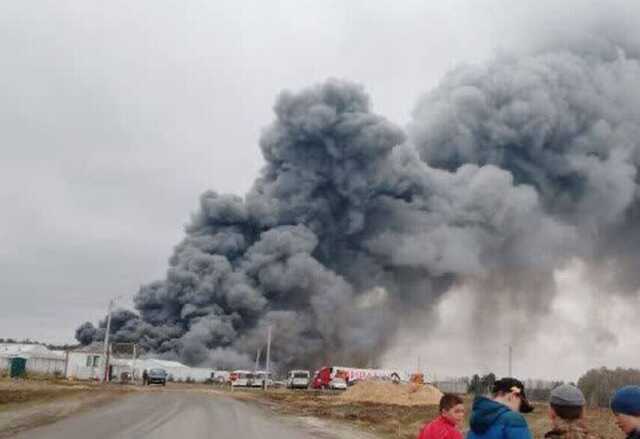 Росія знову у вогні: горить птахофабрика у Брянській області