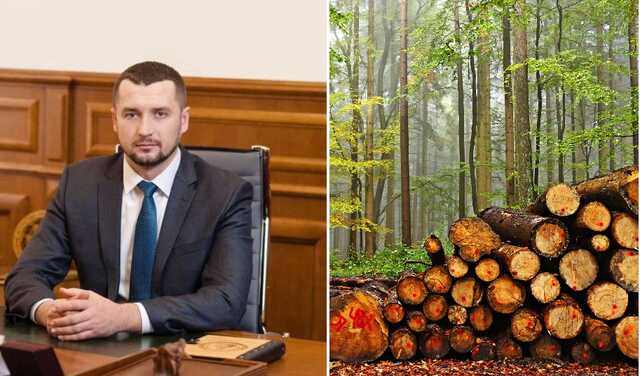 Схемы главного лесника Украины Юрия Болоховца