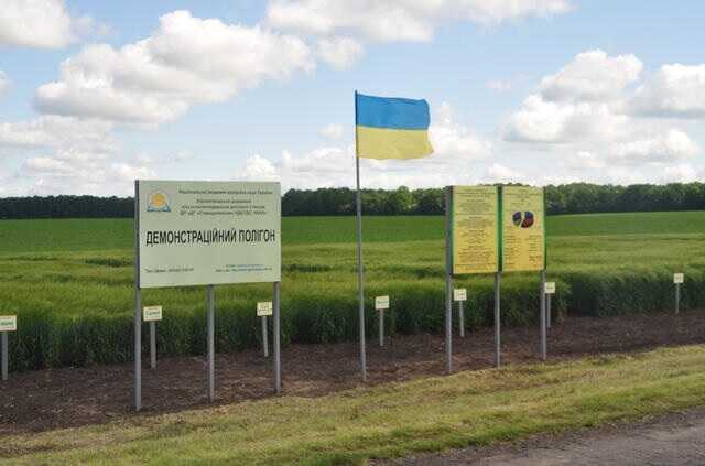 Главного бухгалтера предприятия НААН арестовали с залогом в два миллиона гривен