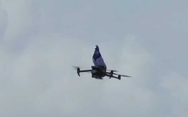 Військовослужбовці Збройних сил України показали, як «голуб Гриша» знищує окупантів на фронті