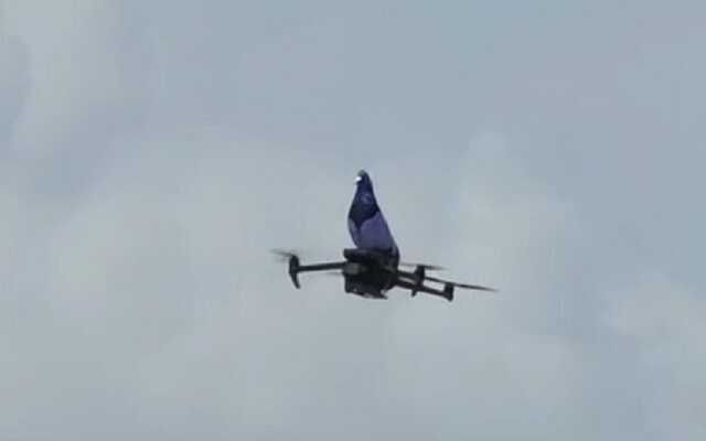 ЗСУ показали, як «голуб Гриша» знищує окупантів на фронті